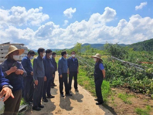 의성군제공 우박피해현장.jpg