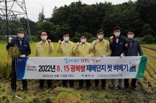 영주시, _8.15 광복쌀_ 재배단지 첫 벼베기 행사사진 (단체사진-손기을 안정농협 조합장, 박남서 영주시장, 심재연 시의장, 박성만 _.jpg