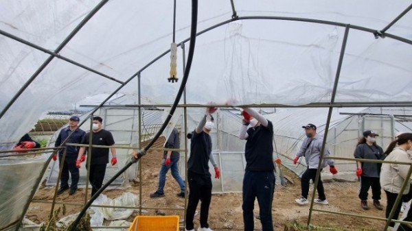 영주 1-3 영주시 공무원들이 포항 수해현장에서 복구작업을 하고 있다 (3).jpeg