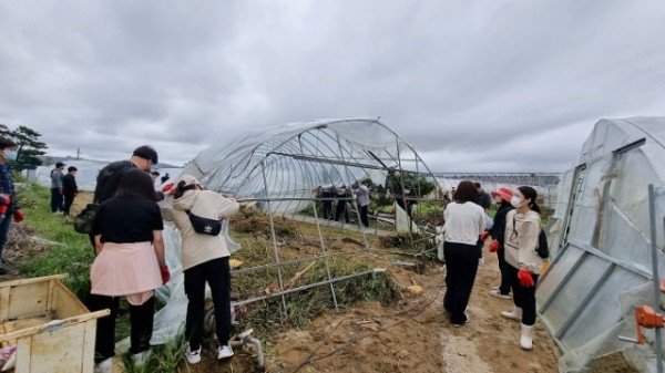 영주 1-2 영주시 공무원들이 포항 수해현장에서 복구작업을 하고 있다 (2).jpeg