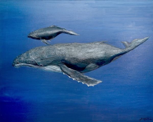 고래01-600.jpg