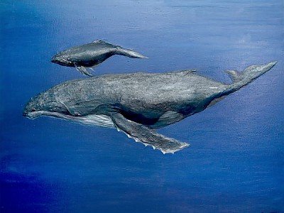 고래01-600.jpg