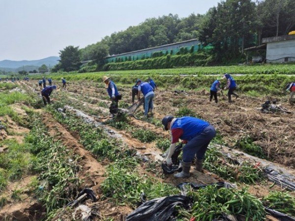 0717 안동시새마을회  바르게살기운동 안동시협의회 수해복구에 앞장서 (2).jpg