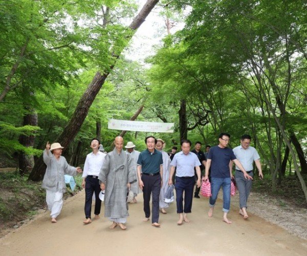 01의성군제공 천년숲길 맨발걷기.jpg