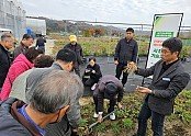 영주-3-1 시 농업기술센터 연구시험포장에서 _잔대 우량종근 생산 기술교육_이 진행되고 있다.jpg